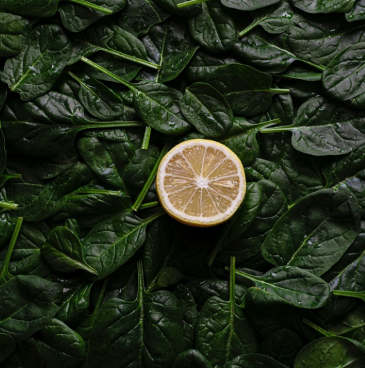 Iron Supports from the inside out...