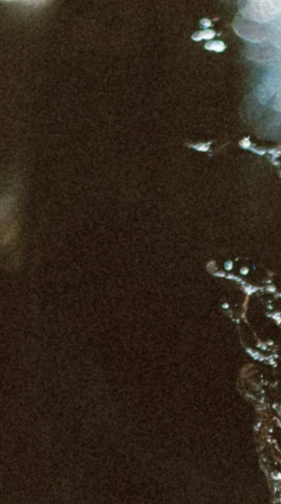 Low iron can look like: